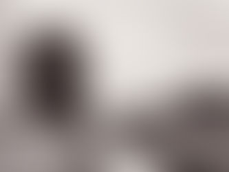 The Cistercian Standard