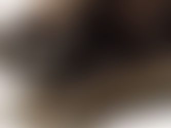 Audubon and his Viviparous Quadrupeds