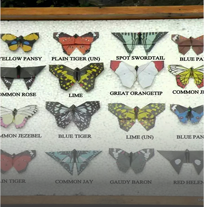 butterfly-research-centre-card-desktop.png