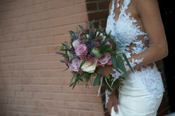 NOVIASSSSS