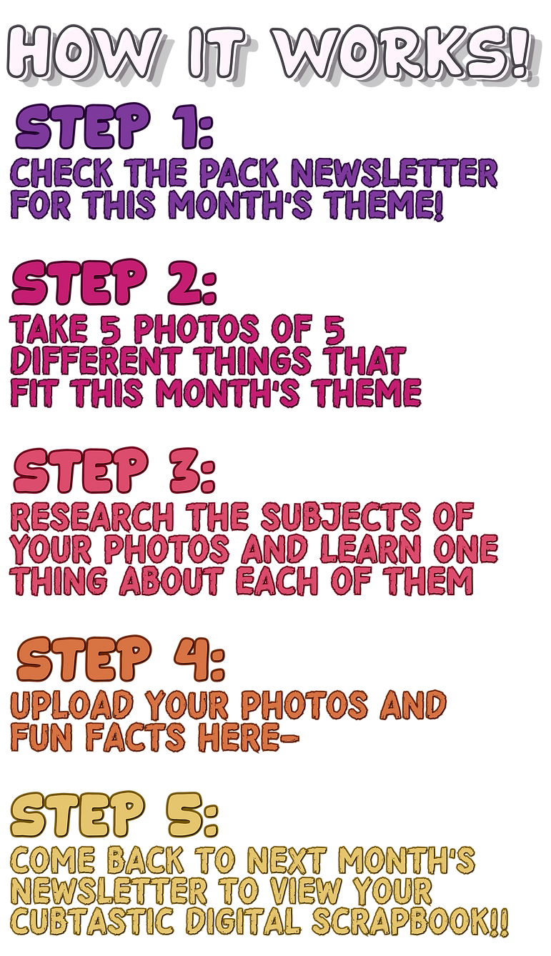 Newsletter Finals (26).png