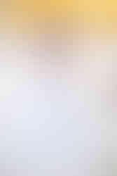 Jennifer Bowden Designs Hellebore silk ballgown