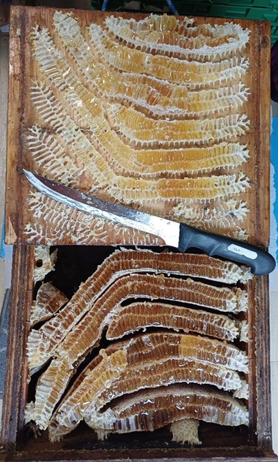 raw comb honey extracted at the hive
