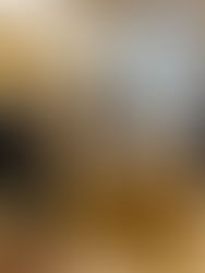 Crazy Night, Crazy Day