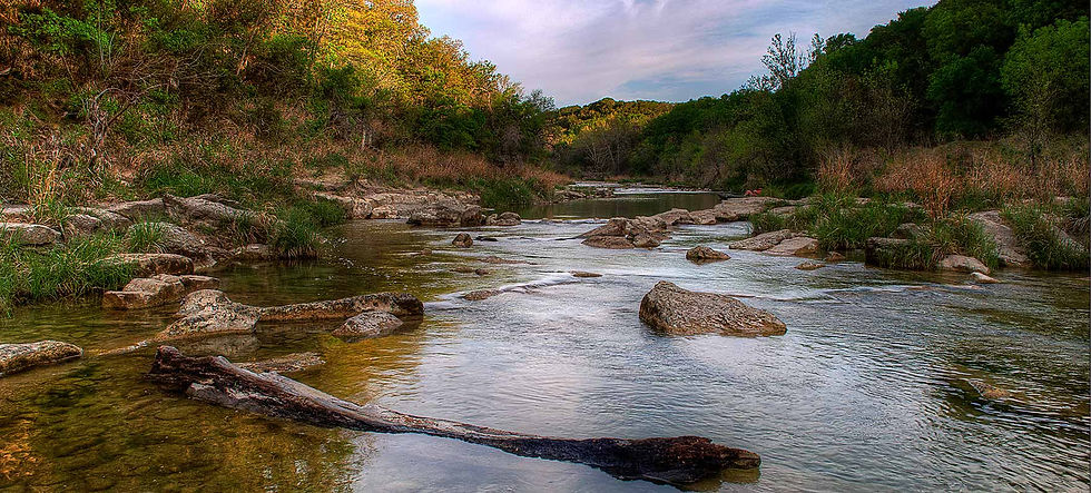 Dinosaur Valley State Park/Ft. Worth Weekend