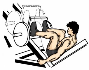 La forza nel ciclismo, tra bici e palestra (parte II)