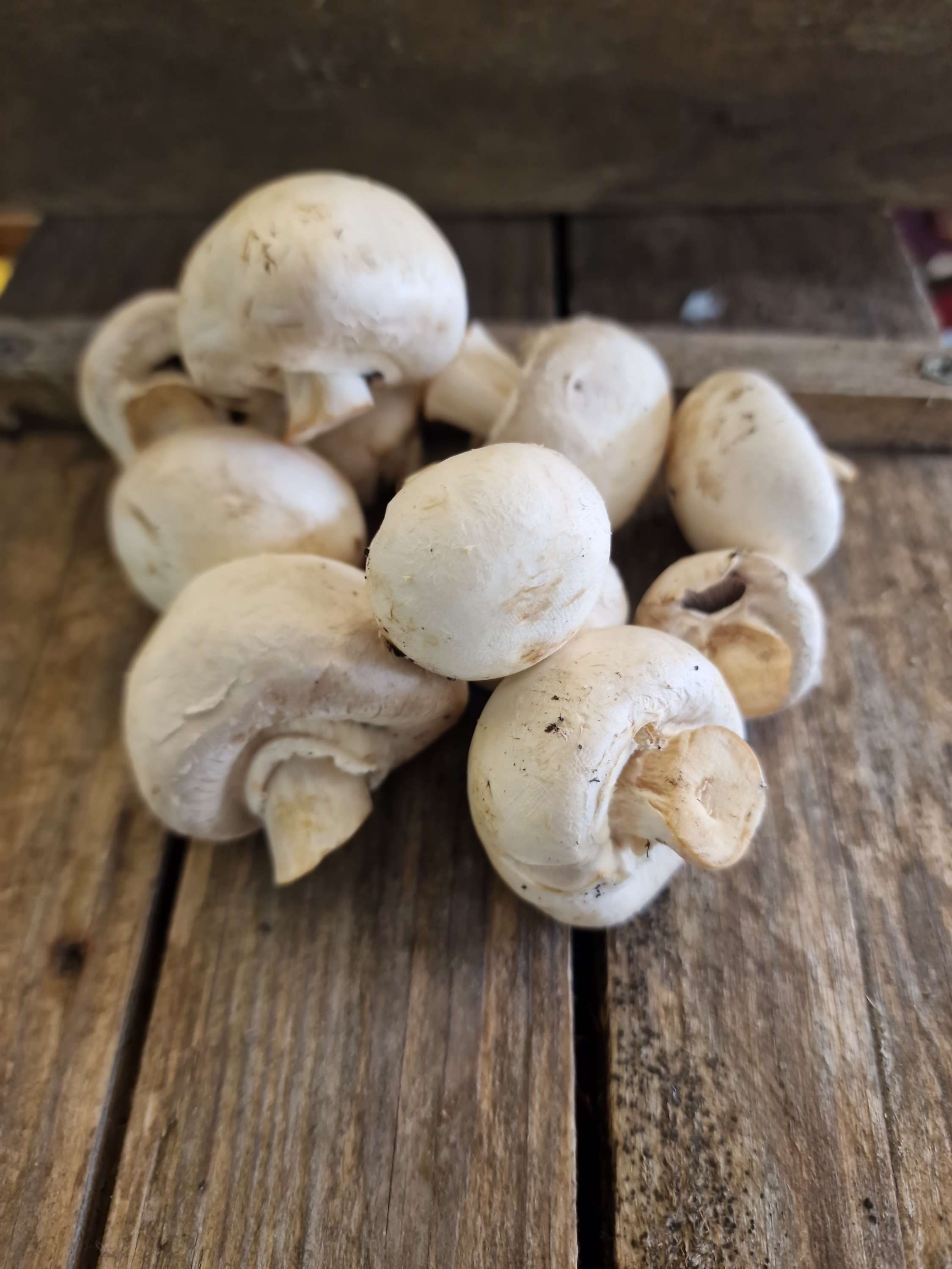 Button Mushroom (per 100g)