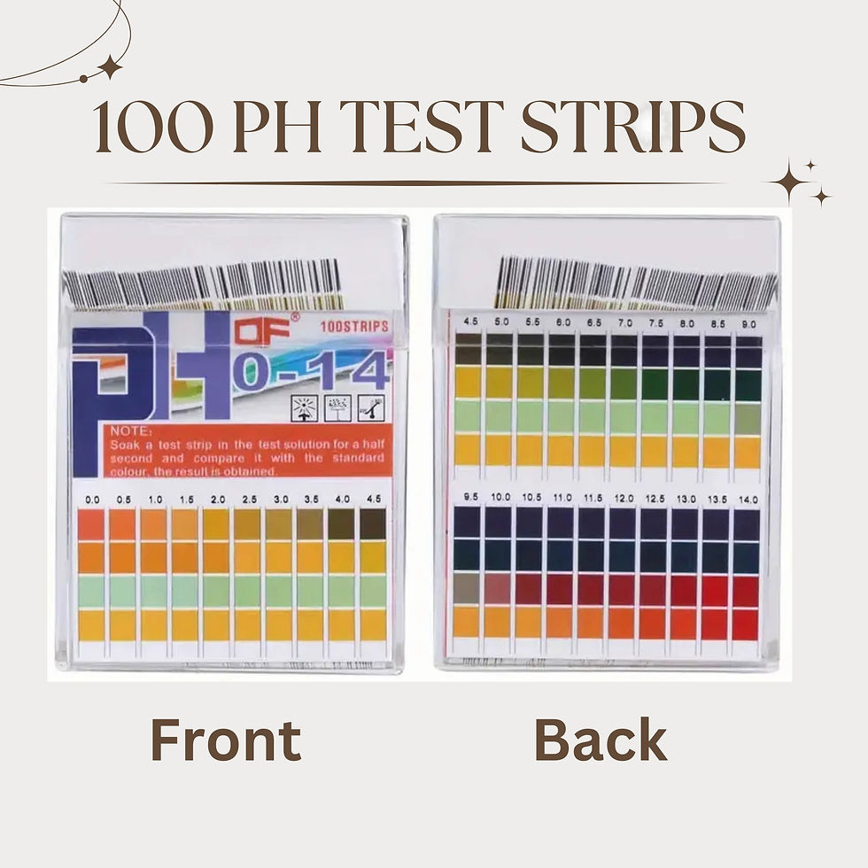 PH Tester 100 Count