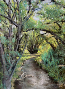 Dry Creek