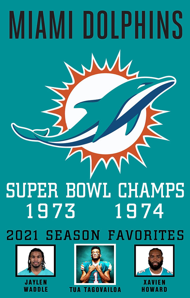 20 X 30 Miami Dolphins Custom Sign