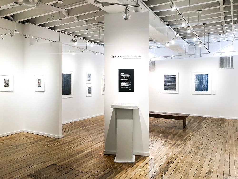 Gallery installation view from door of Night Vision: Recent Work by Melissa Rubin at Atlantic Gallery