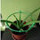 Thumbnail: Plant Supporter Device