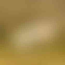 Mother sheep and its lamb on a grassy hillside.