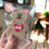 Thumbnail: teddy bear dog valentine biscuit