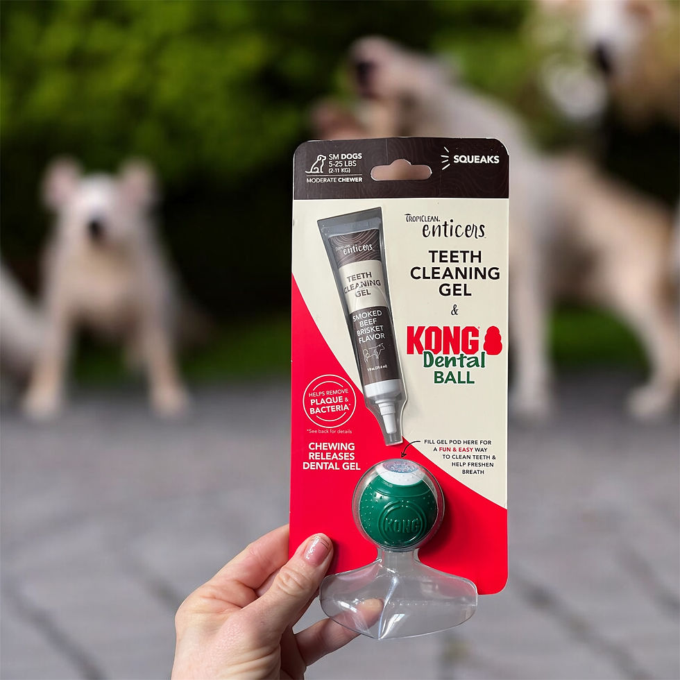 Thumbnail: Kong entices teeth cleaning ball (small)