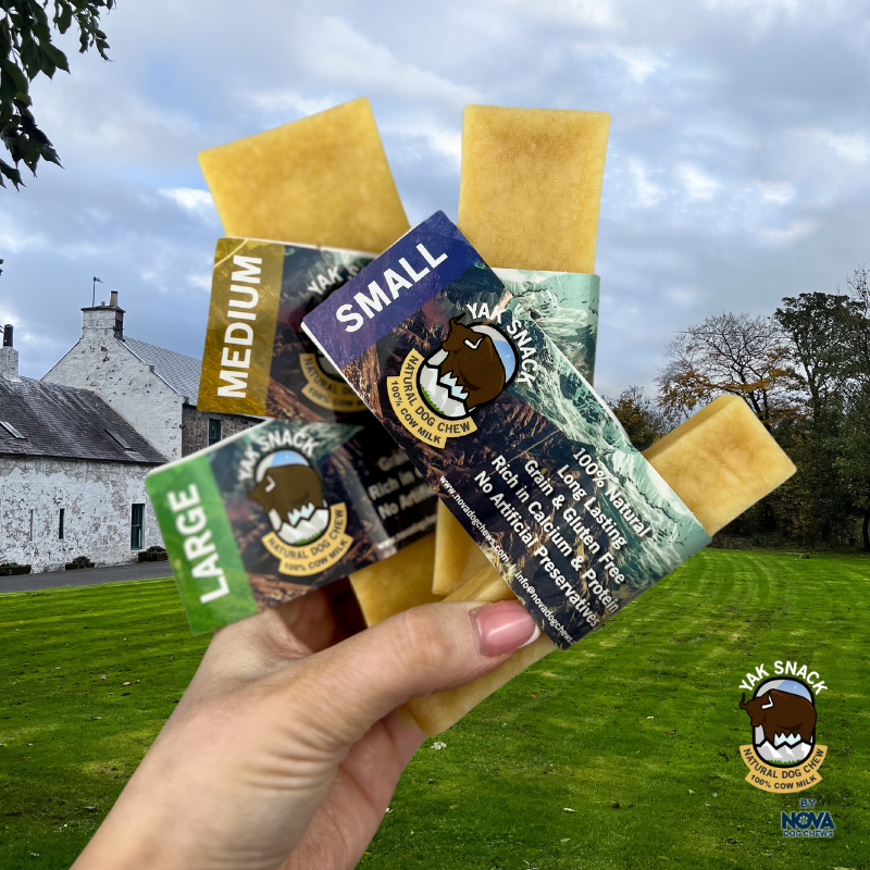 Thumbnail: Himalayan Yak chews