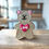 Thumbnail: teddy bear dog valentine biscuit