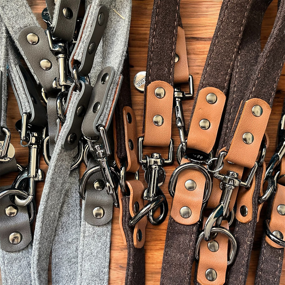 soft, light dog leads