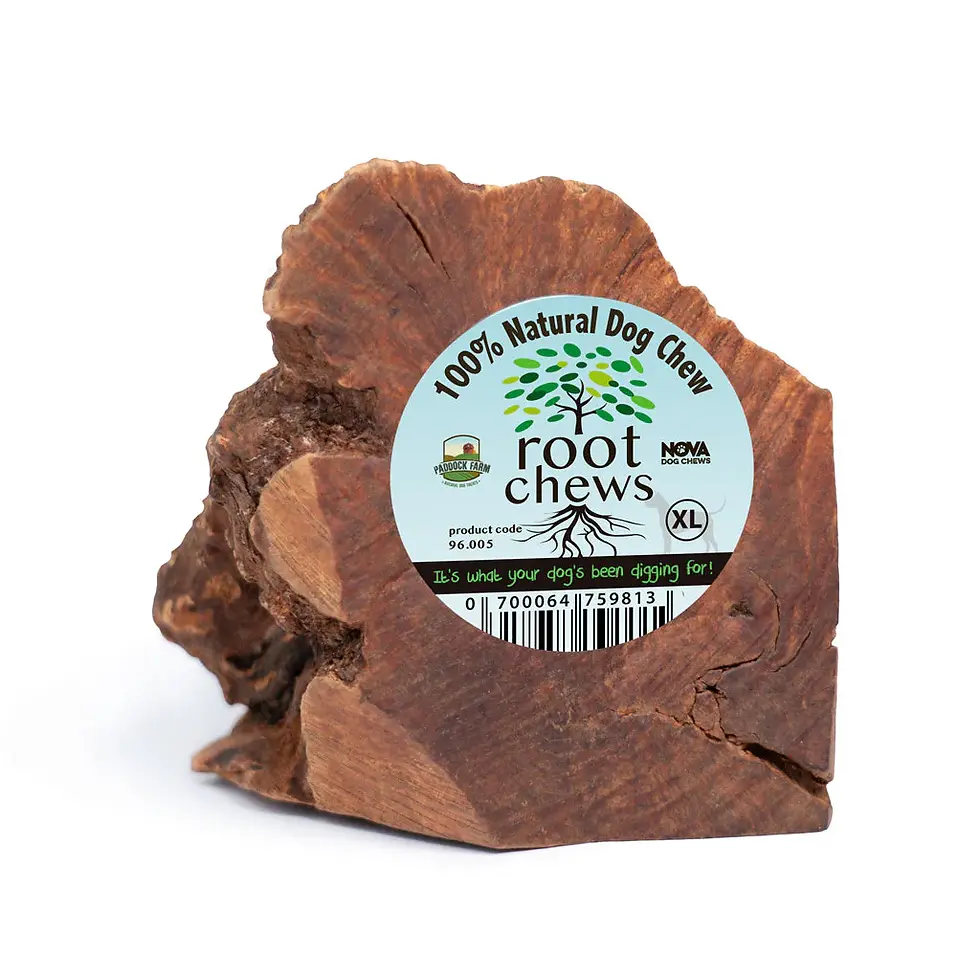 Thumbnail: Chewroot (medium)