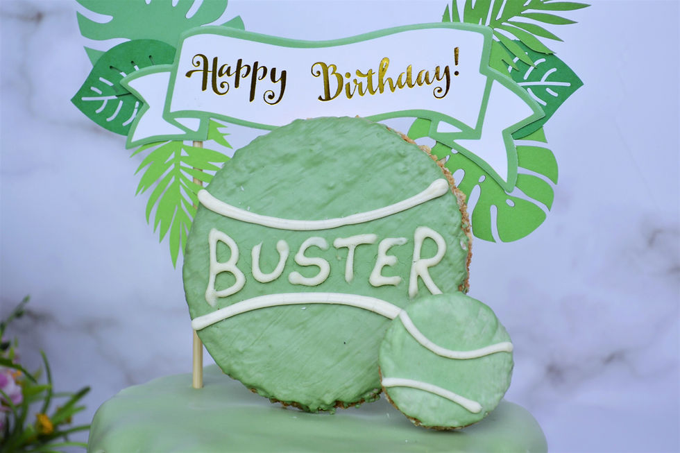 Thumbnail: make a dog birthday cake. gifts for dog lovers