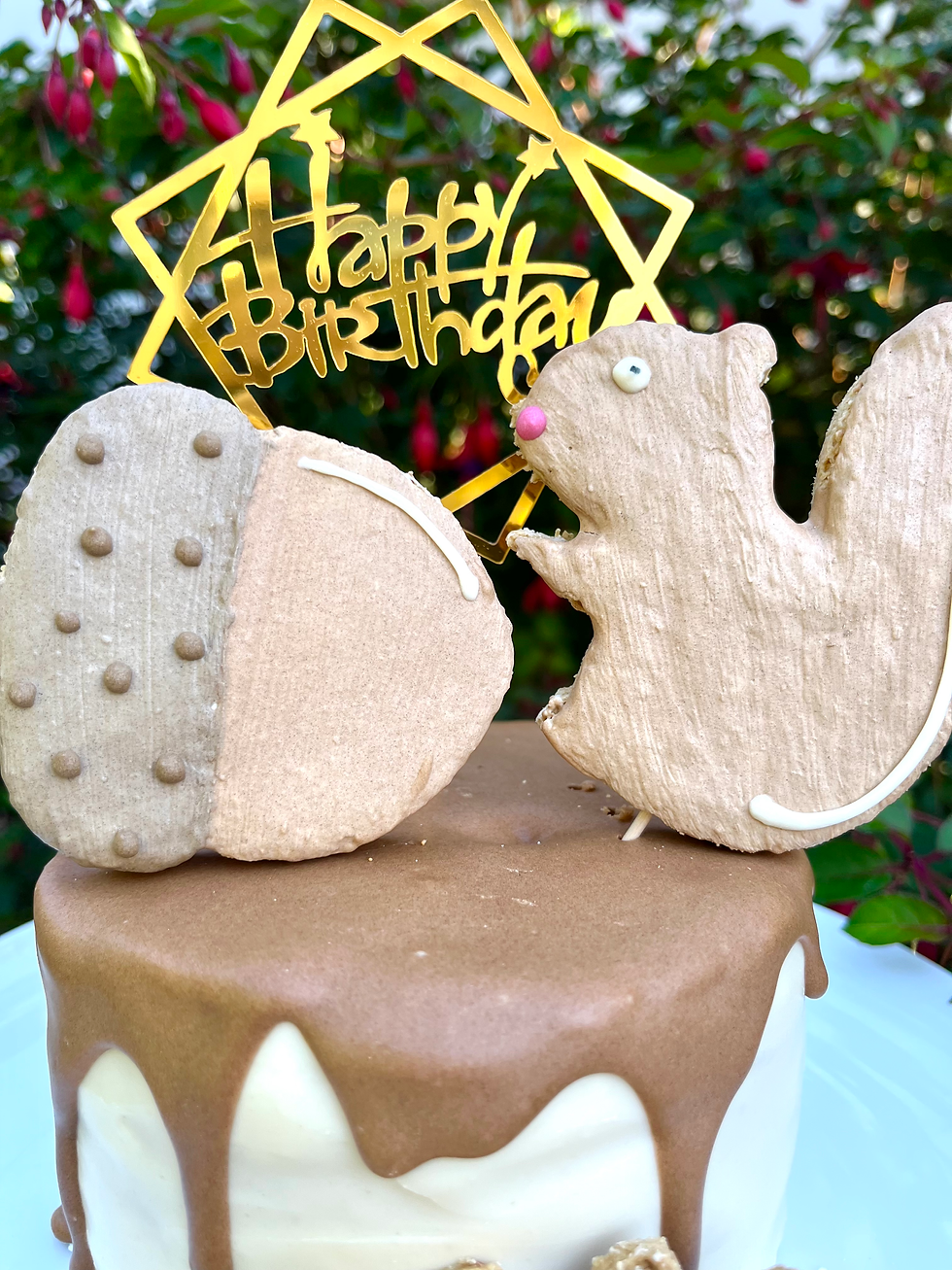 squirrel dog birthday cake