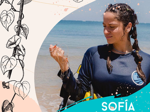 Announcing the 2024 Seed Fund Recipient!