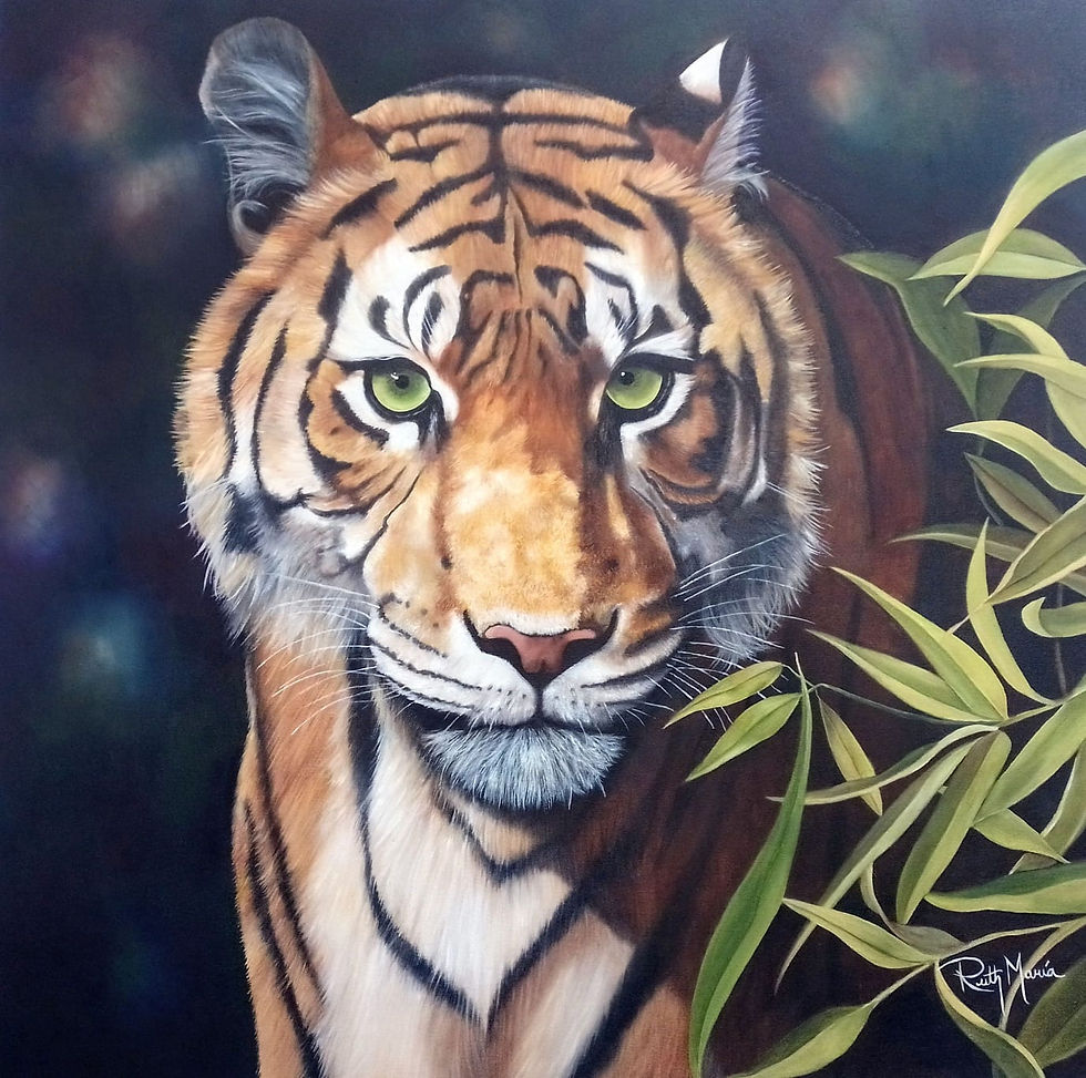 Tigre de Bengala.jpg