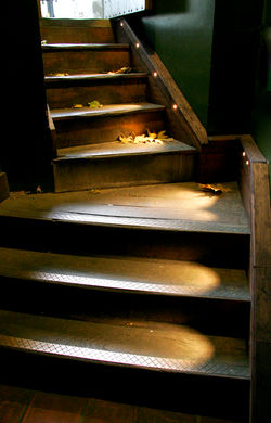 L67.jpg