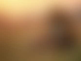 Finding the Top Tanzania Safari Experience