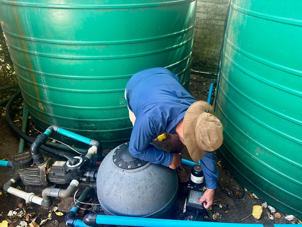 Custom irrigation systems and watering setup for gardens in Somerset West.