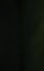 omid-armin-ApYDy4ur8JQ-unsplash_edited_edited_edited_edited_edited.jpg
