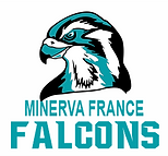 MINERVA FRANCE PLACEMENT.png
