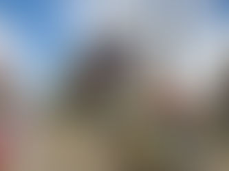 ‘Asthma alley’: why minorities bear a disproportionate burden of pollution inequity