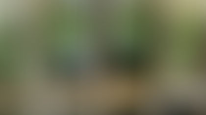 The Idea of Ancestry