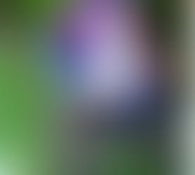 Justice For Bobby Yates