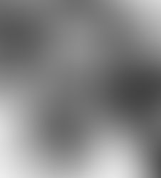 The GOP’s Big Investors