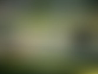 Each of us has the power to exploit the baseball shooting. What happens next matters.