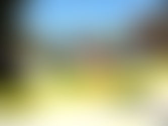 Poor Neighborhoods Hit Hardest by Asset Forfeiture in Chicago, Data Shows