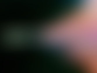 The Billion-Dollar Disinformation Campaign to Reelect the President