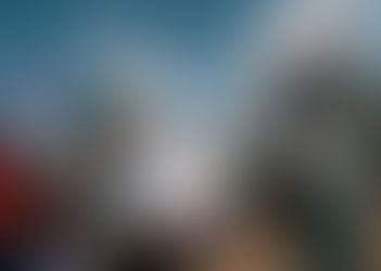 The anti-quarantine protesters aren’t Rosa Parks. They’re more like Typhoid Mary.