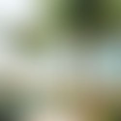 Golden Globes Glamour Meets Private Paradise at Casa Bellamar