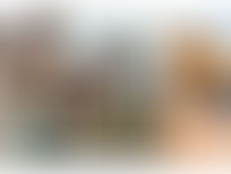 Valentine’s in Paradise: Where Love Finds Its Place