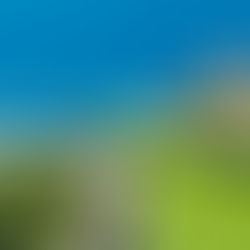 Spring Break at Destinations In Paradise