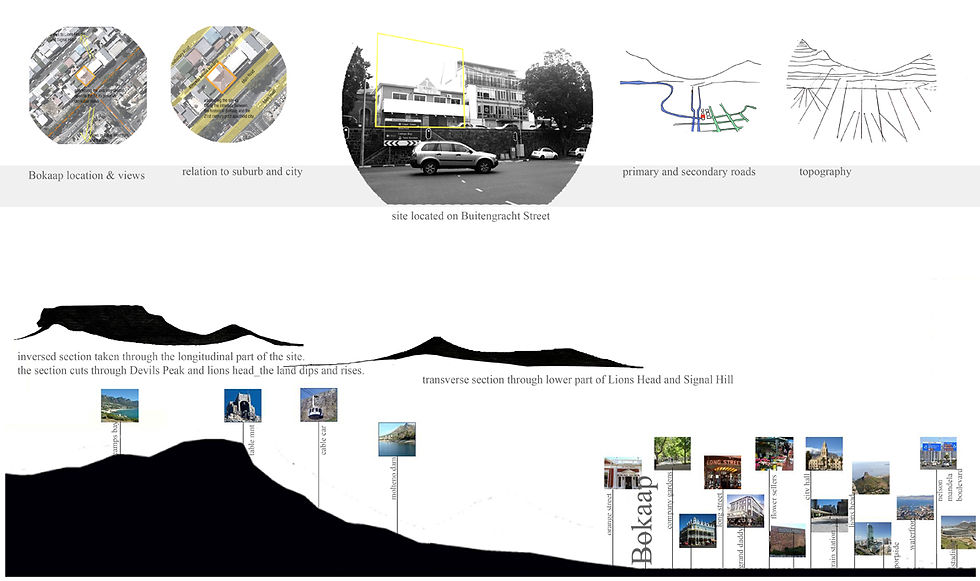 site analysis
