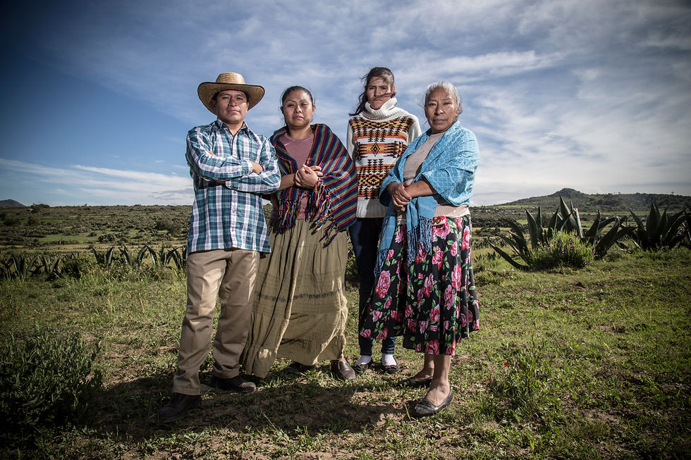 retrato familia
