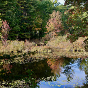 The Great Meadow: Marti Warren