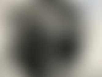 Rebuilt Isuzu Rodeo Engine for sale