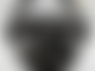 Rebuilt Jaguar Sedan Engine for sale