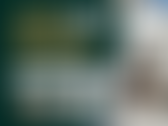 Taubmans Armawall Texture Coatings - Where Design Meets Durability