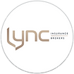 2. SIlver Lync.png